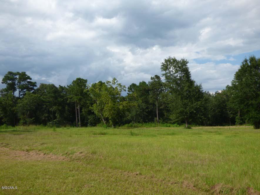 19231 Fenton Dedeaux Road Kiln, MS 39556 - Photo 3 of 25 P1000990