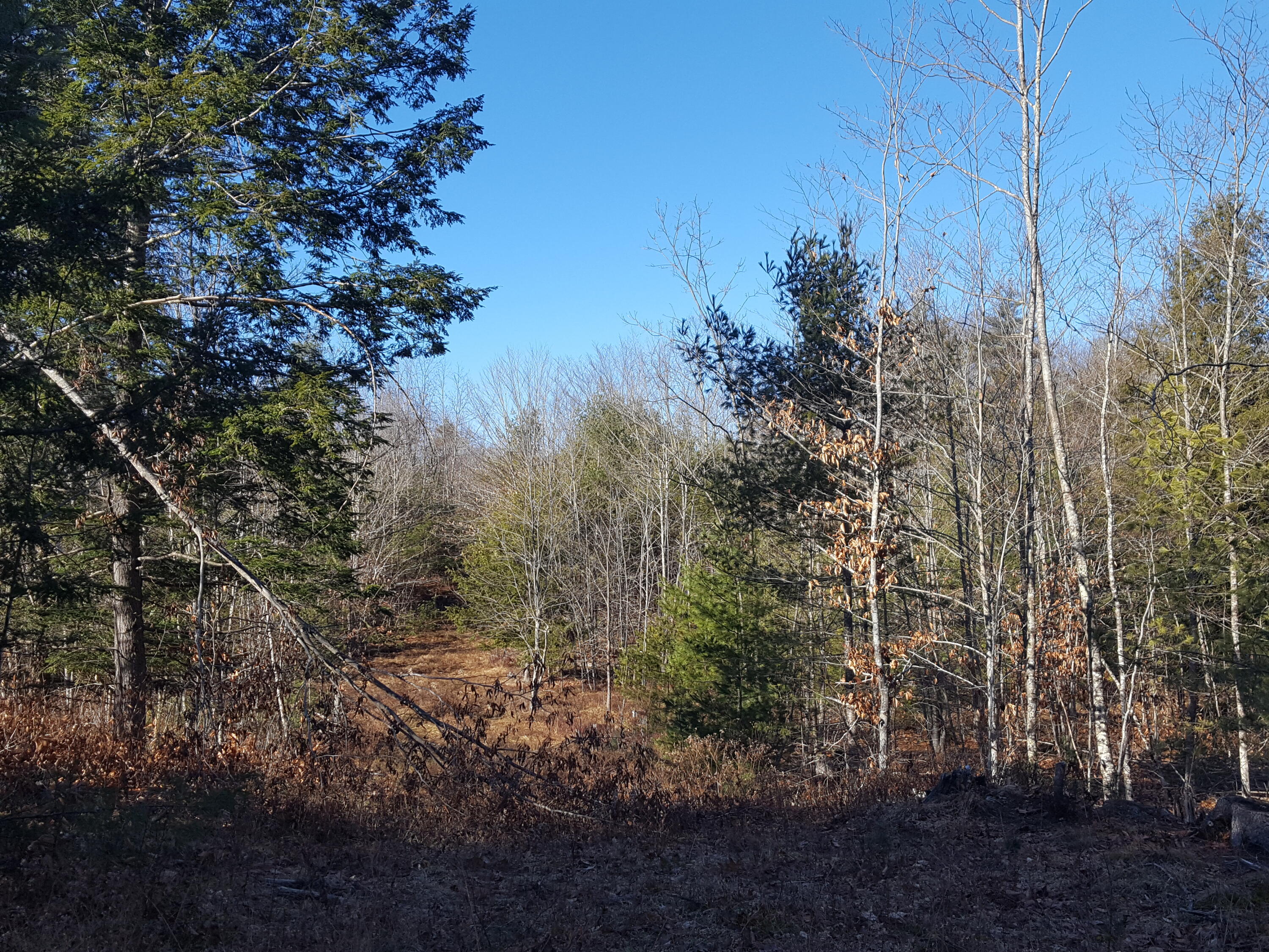 88 Mitchell Hill Road Gorham, ME 04038 - Photo 25 of 99 20231220_120050