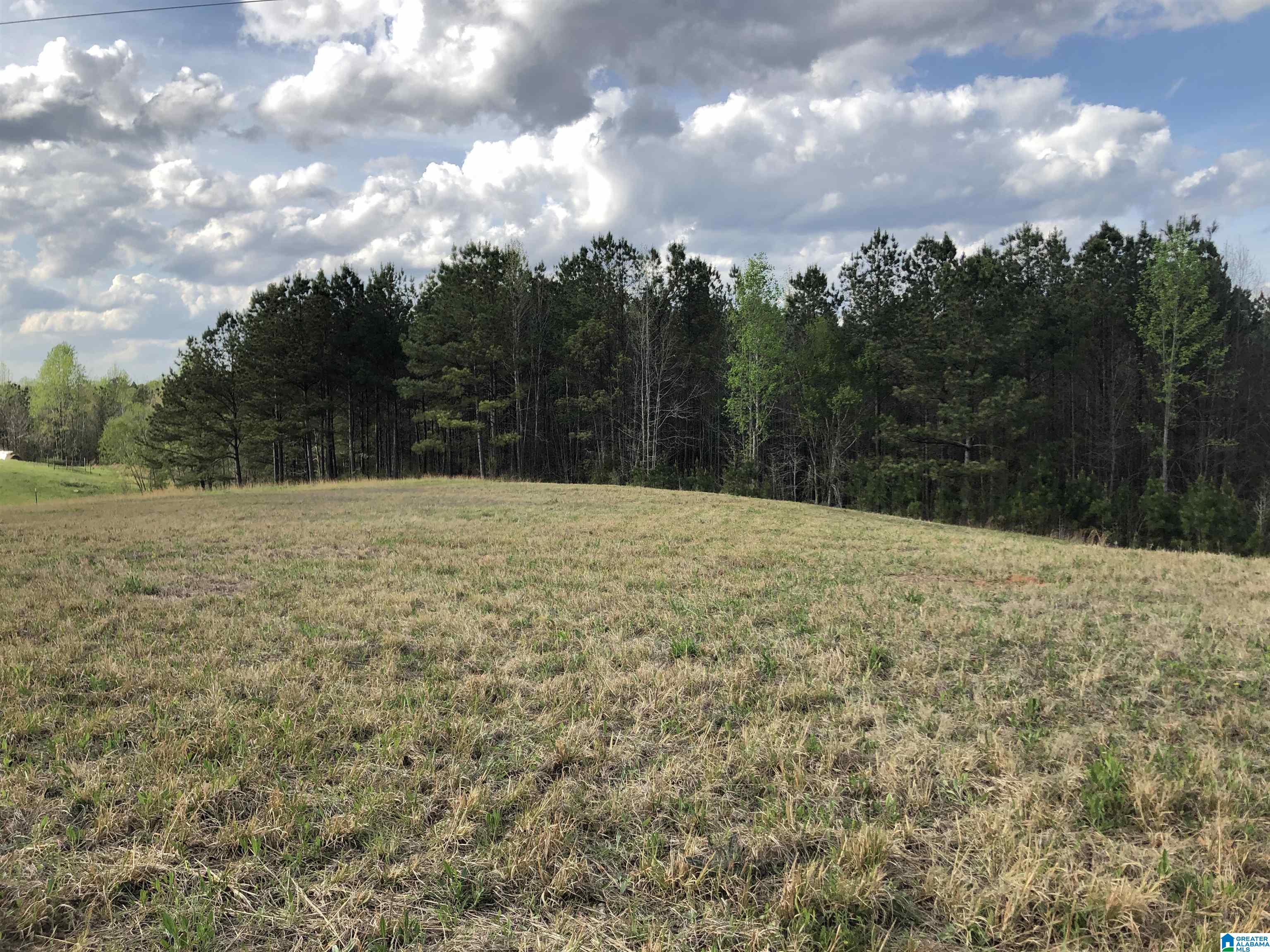 0 County Road 835, Unit 1 Clanton, AL 35046 - Photo 1 of 5
