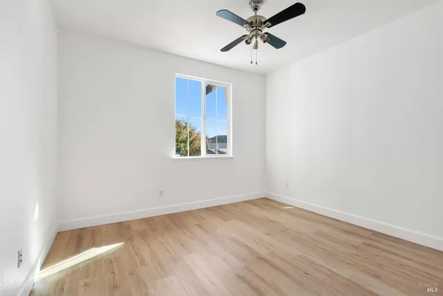 a view of a backyard with a big tree and wooden fence
