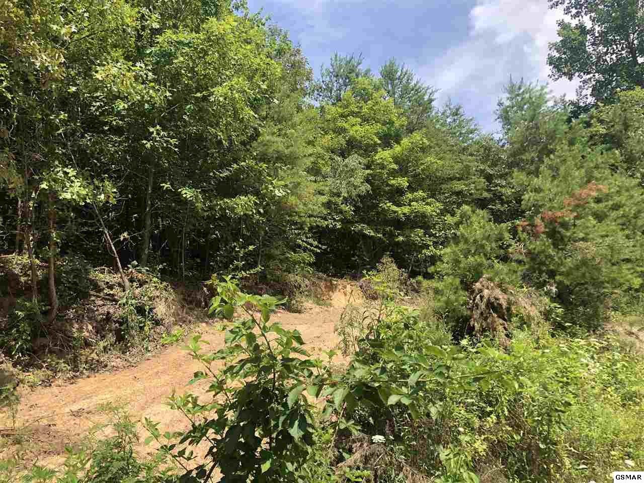 43 Sharp Road Sevierville, TN 37876 - Photo 22 of 24 a view of a yard with a tree