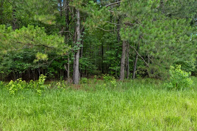 $450,000 | 406 Myers Road, Summerville, SC 29486