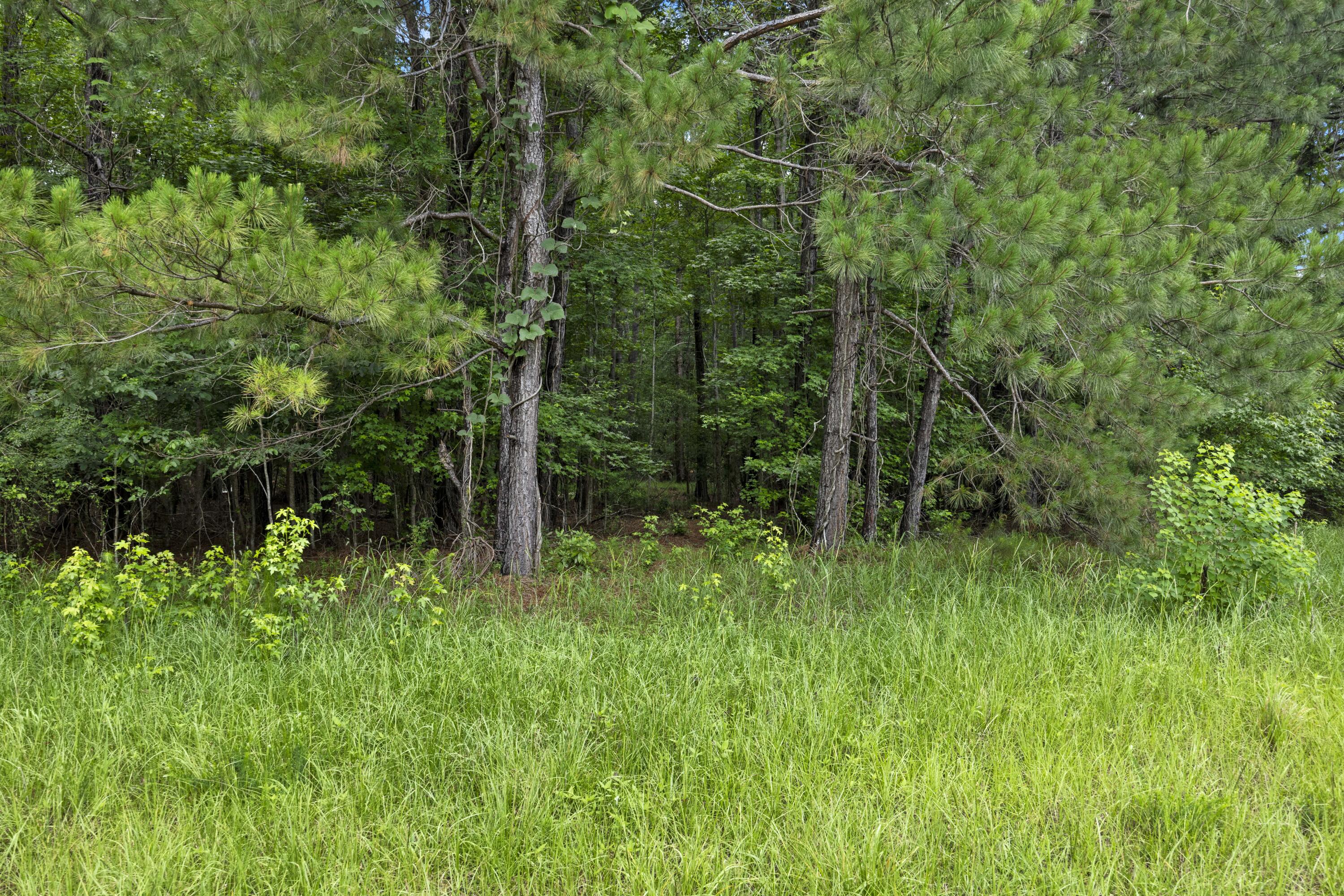 406 Myers Road Summerville, SC 29486 - Photo 7 of 19 243A3407