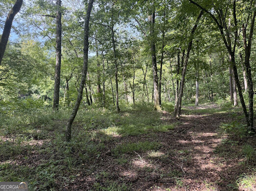 331 Rushing River Road Talking Rock, GA 30175 - Photo 7 of 14 Gallery Image 7