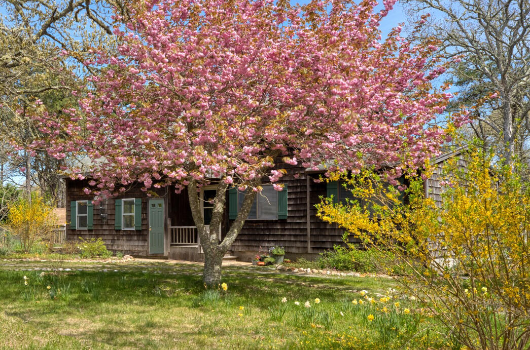 9 Sampson Avenue Edgartown, MA 02539 - Photo 35 of 35 a front view of a house with a yard and large tree