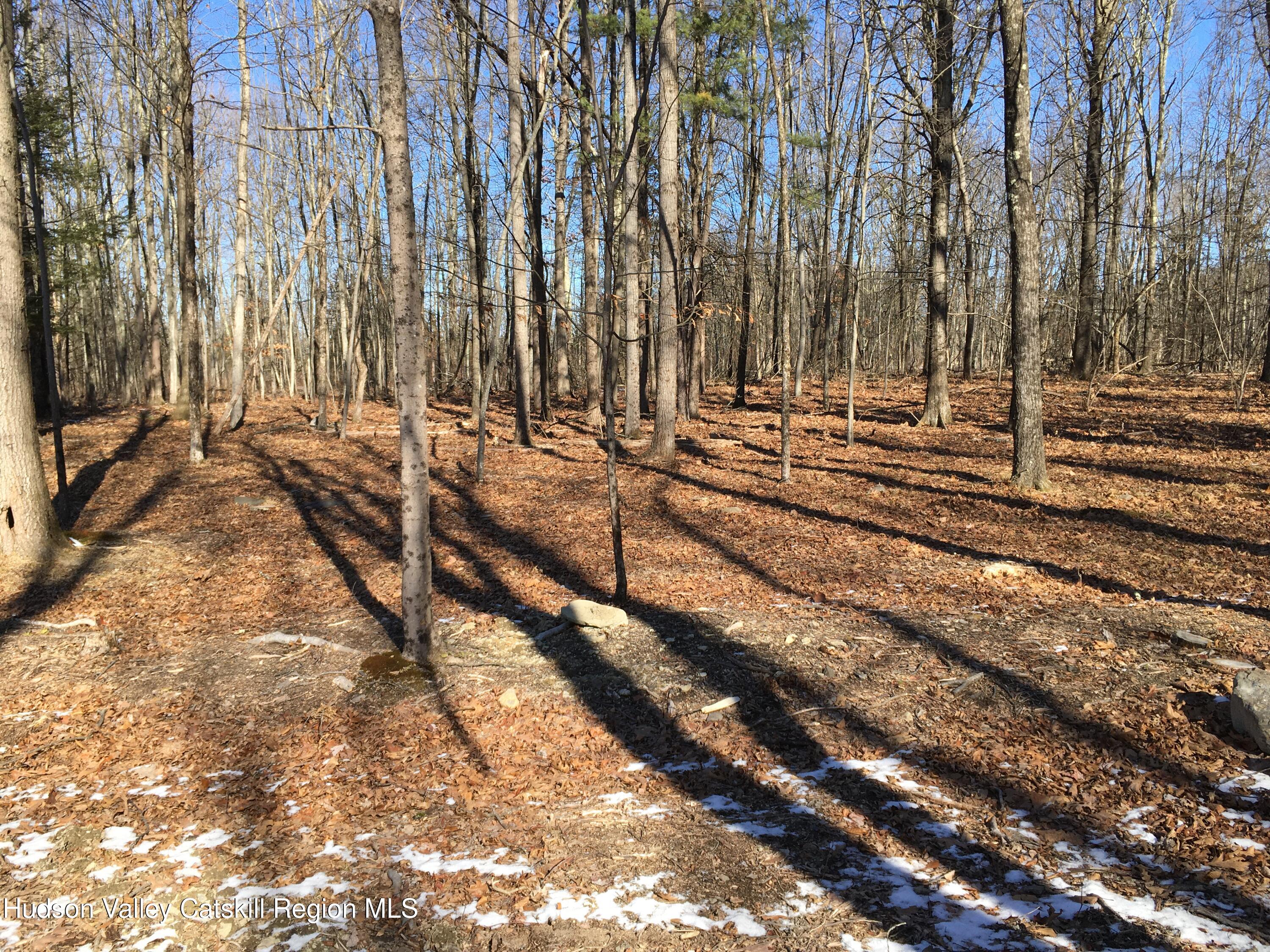 85 Jansen Road New Paltz, NY 12561 - Photo 7 of 42 Backyard