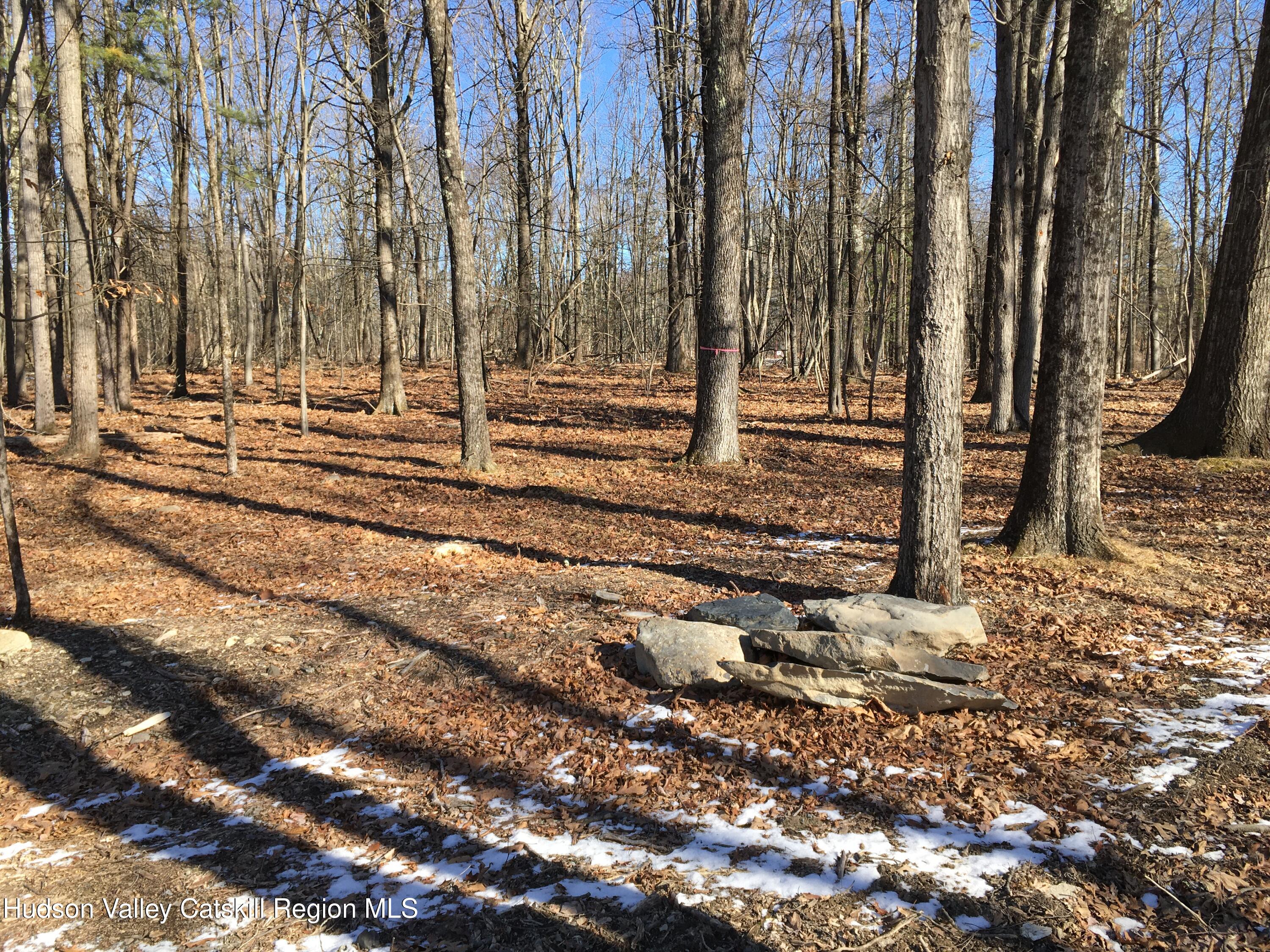 85 Jansen Road New Paltz, NY 12561 - Photo 8 of 42 Clean woods!