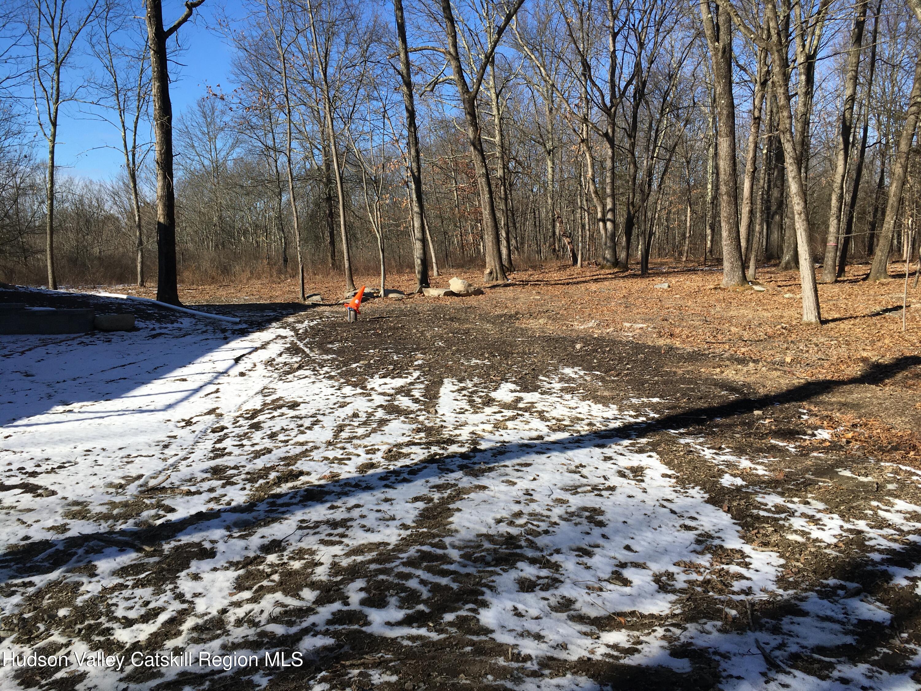 85 Jansen Road New Paltz, NY 12561 - Photo 10 of 42 backyard