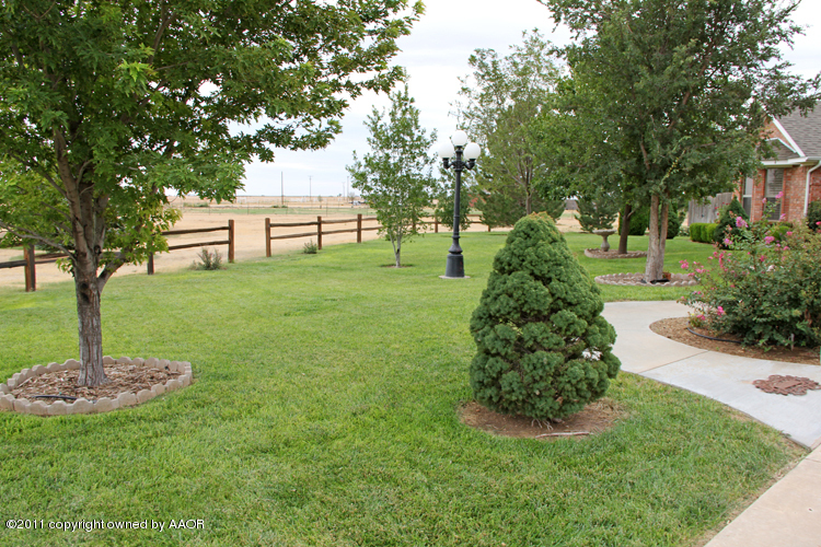 11900 Dowell Road Amarillo, TX 79119 - Photo 14 of 71 Front Yard