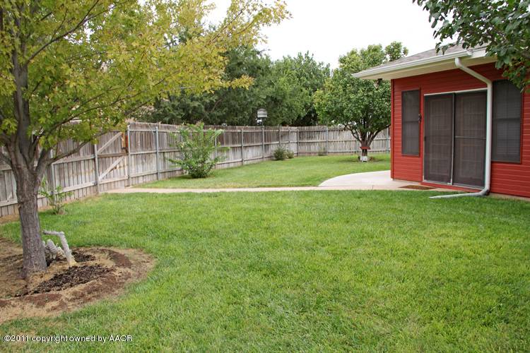 11900 Dowell Road Amarillo, TX 79119 - Photo 50 of 71 Backyard