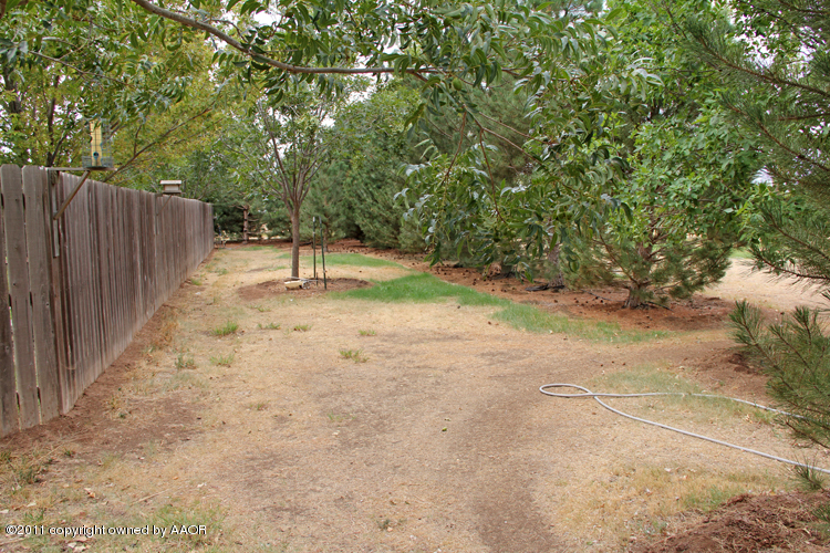 11900 Dowell Road Amarillo, TX 79119 - Photo 59 of 71 Mature Landscaping