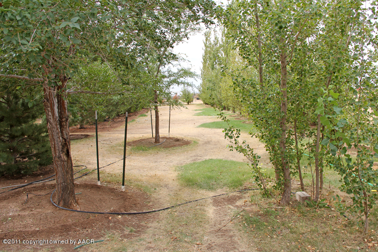 11900 Dowell Road Amarillo, TX 79119 - Photo 60 of 71 Mature Landscaping