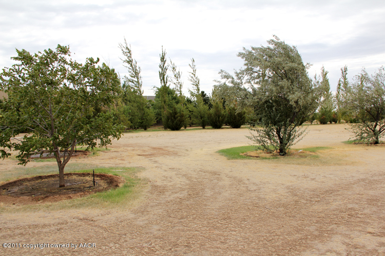 11900 Dowell Road Amarillo, TX 79119 - Photo 61 of 71 Landscape