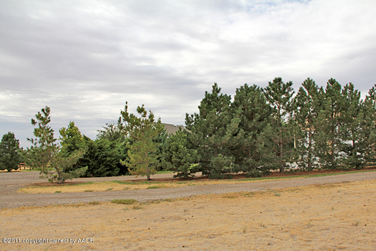 11900 Dowell Road Amarillo, TX 79119 - Photo 63 of 71 Mature Landscaping