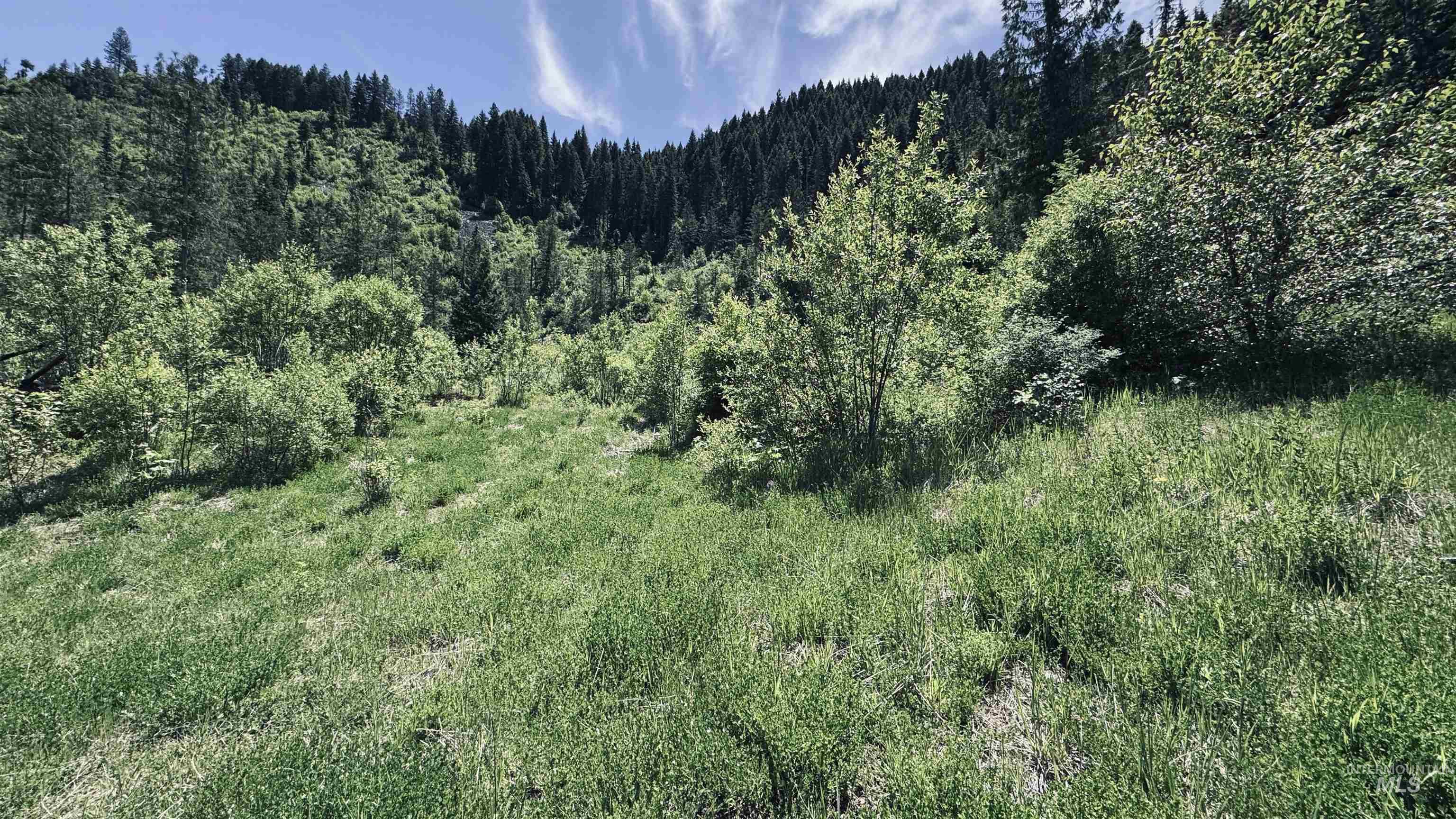 Tbd Glenwood Road Kamiah, ID 83536 - Photo 27 of 50