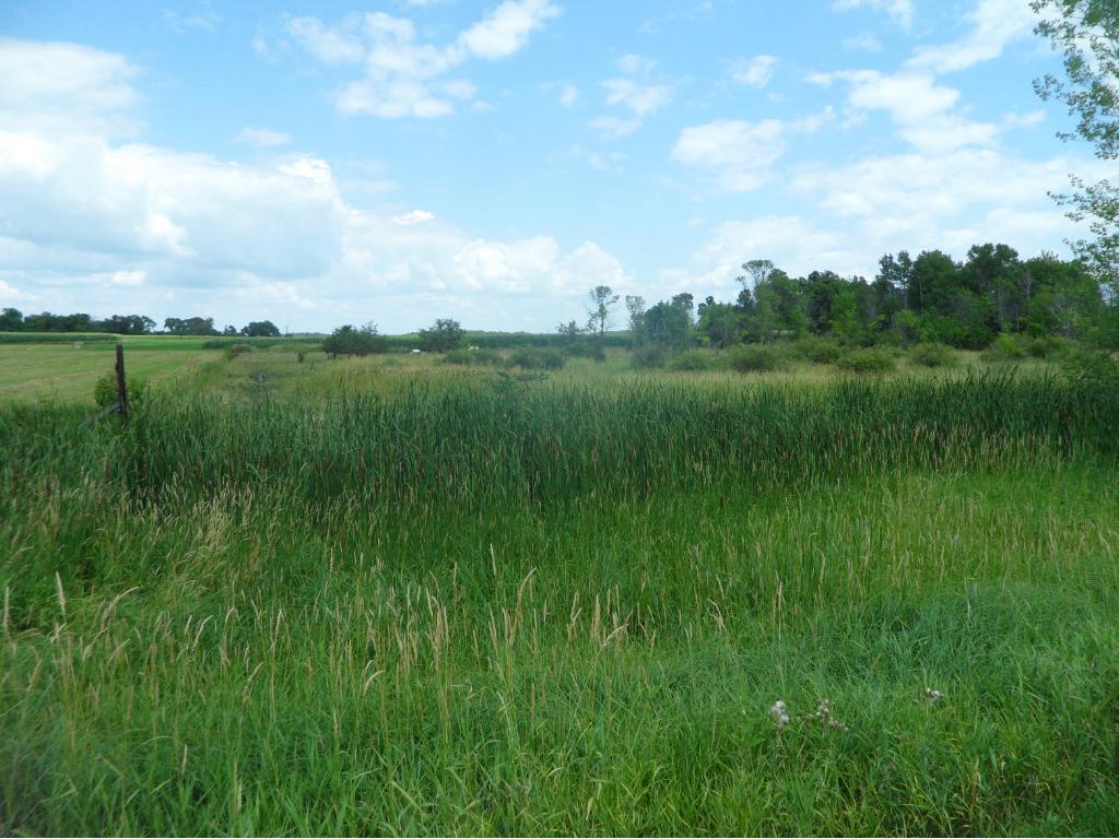 52 County Road 52 Avon, MN 56310 - Photo 1 of 1
