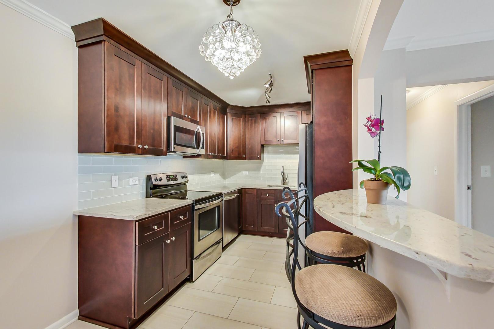 2234 South Goebbert Road, Unit 425 Arlington Heights, IL 60005 - Photo 3 of 20 a kitchen with cabinets a sink and appliances