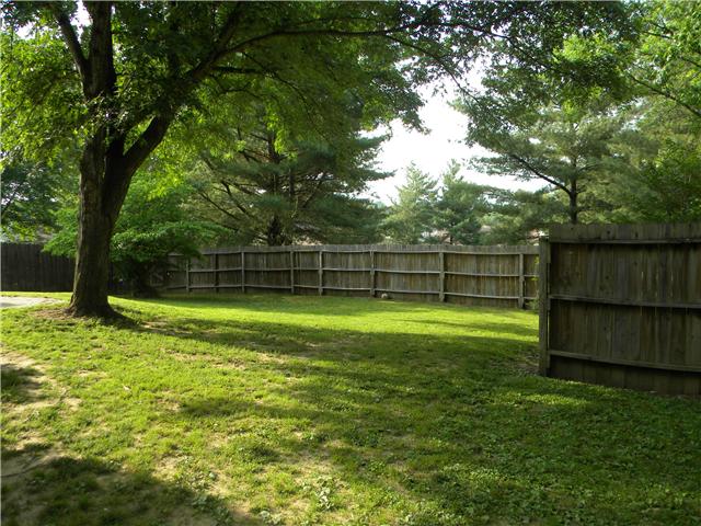 1204 Jacksons View Road Hermitage, TN 37076 - Photo 16 of 20 PRIVACY FENCED BACK YARD big enough for football, pets, children, gardening or all of the above! This yard backs to common area that is maintained by the HOA.