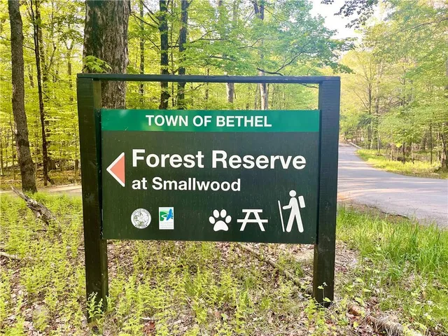 $220,000 | 32 Eldridge Street, Smallwood, NY 12778