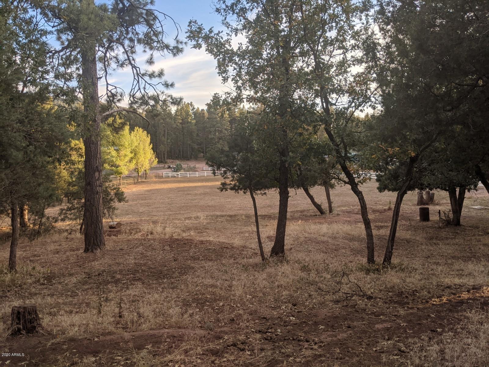 2025 East Colcord Road Payson, AZ 85541 - Photo 29 of 43 PXL_20201006_002436865