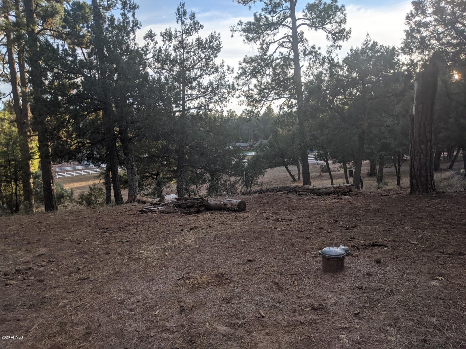 2025 East Colcord Road Payson, AZ 85541 - Photo 30 of 43 PXL_20201006_002517129