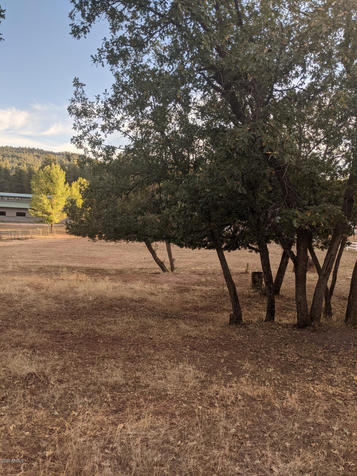 2025 East Colcord Road Payson, AZ 85541 - Photo 31 of 43 PXL_20201006_002626912