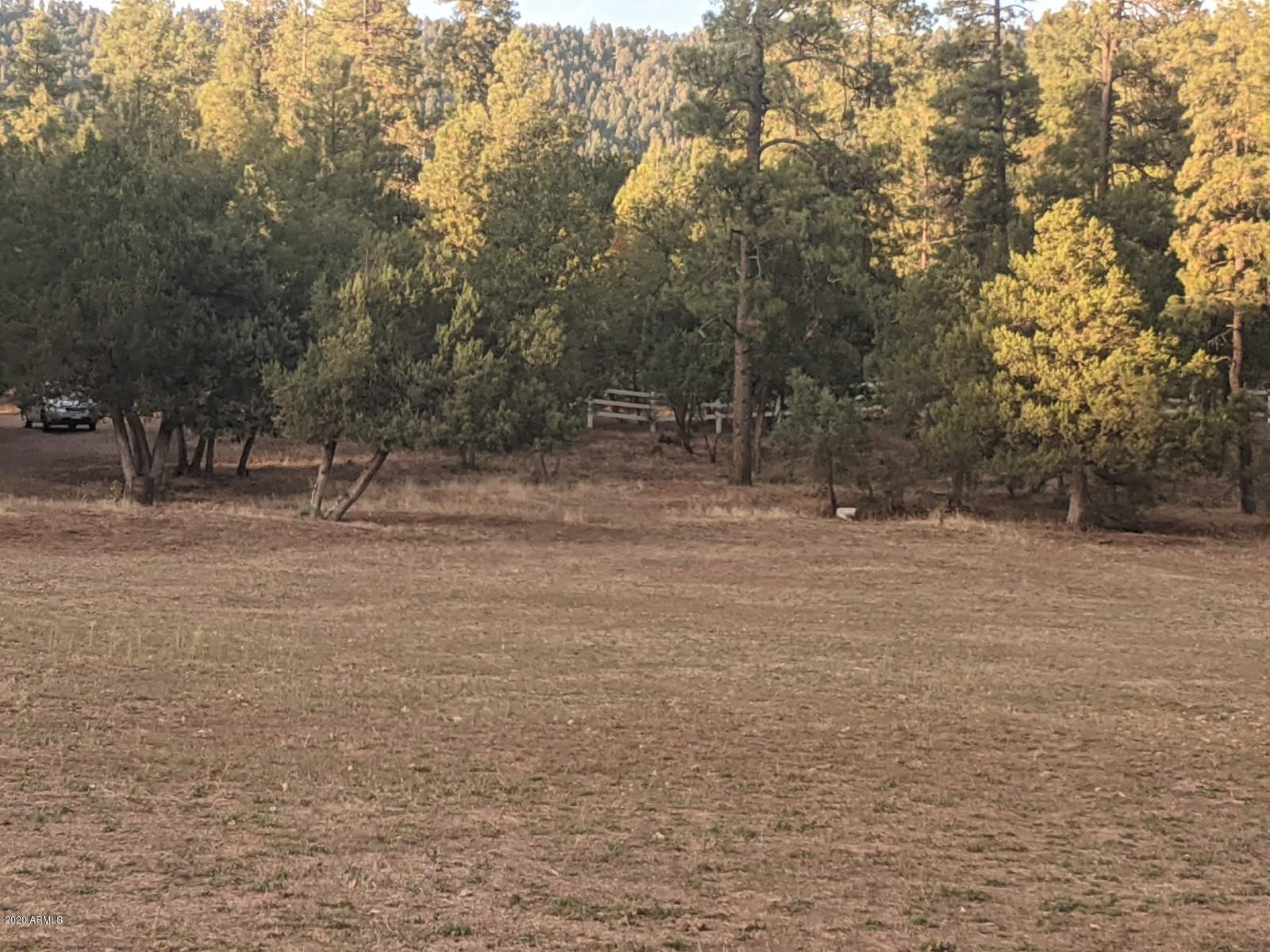 2025 East Colcord Road Payson, AZ 85541 - Photo 33 of 43 PXL_20201006_002848150