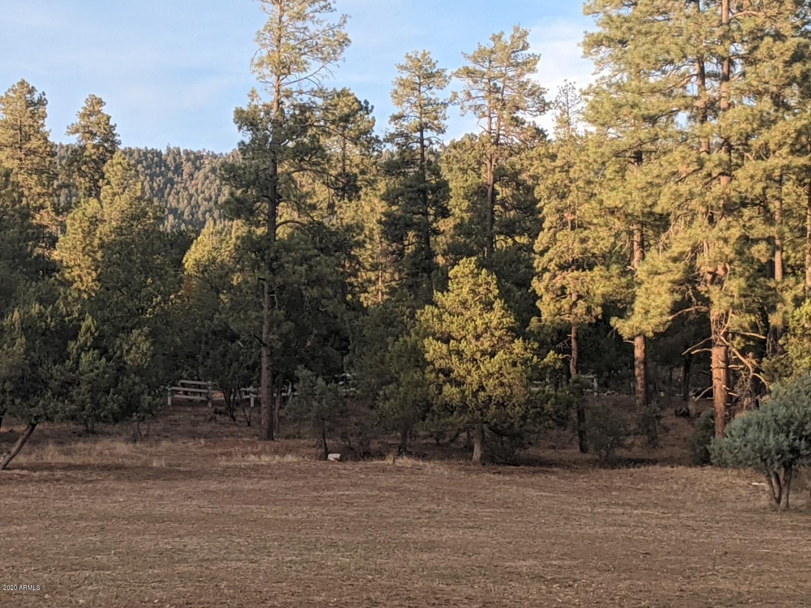 2025 East Colcord Road Payson, AZ 85541 - Photo 34 of 43 PXL_20201006_002857410
