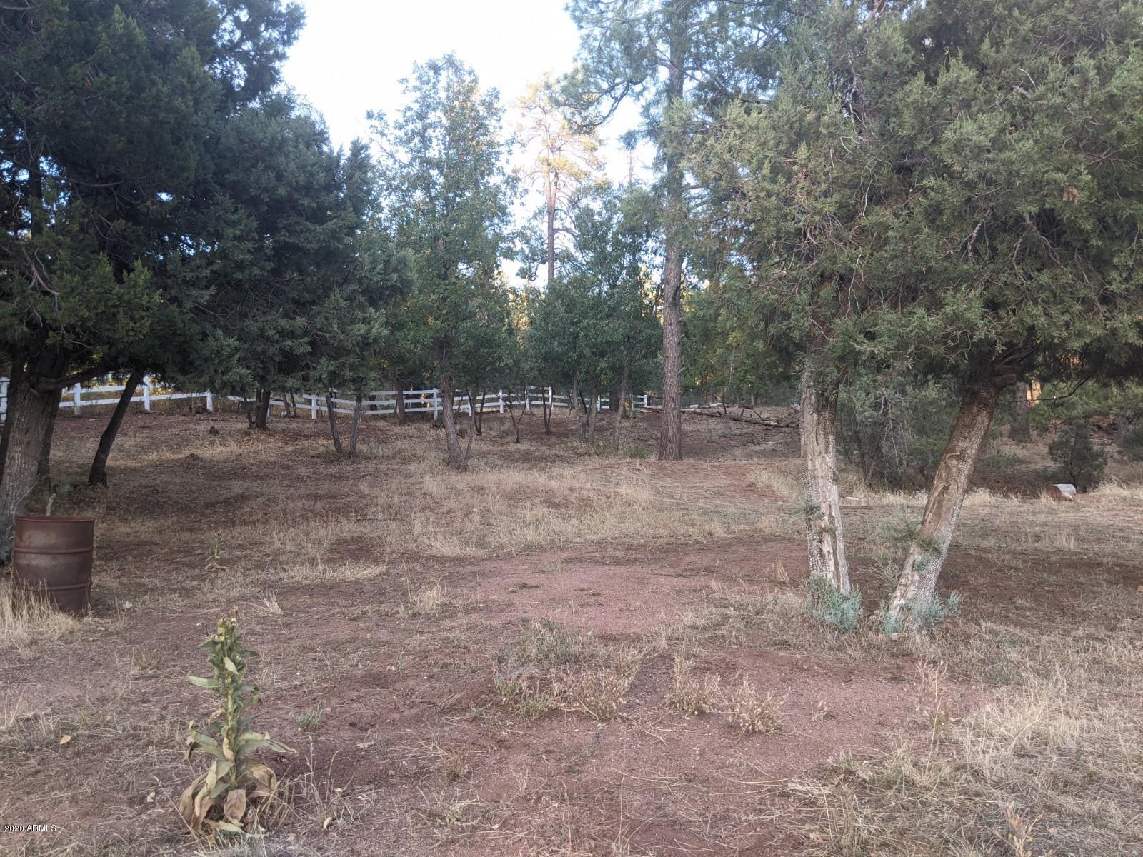 2025 East Colcord Road Payson, AZ 85541 - Photo 36 of 43 PXL_20201006_003037275