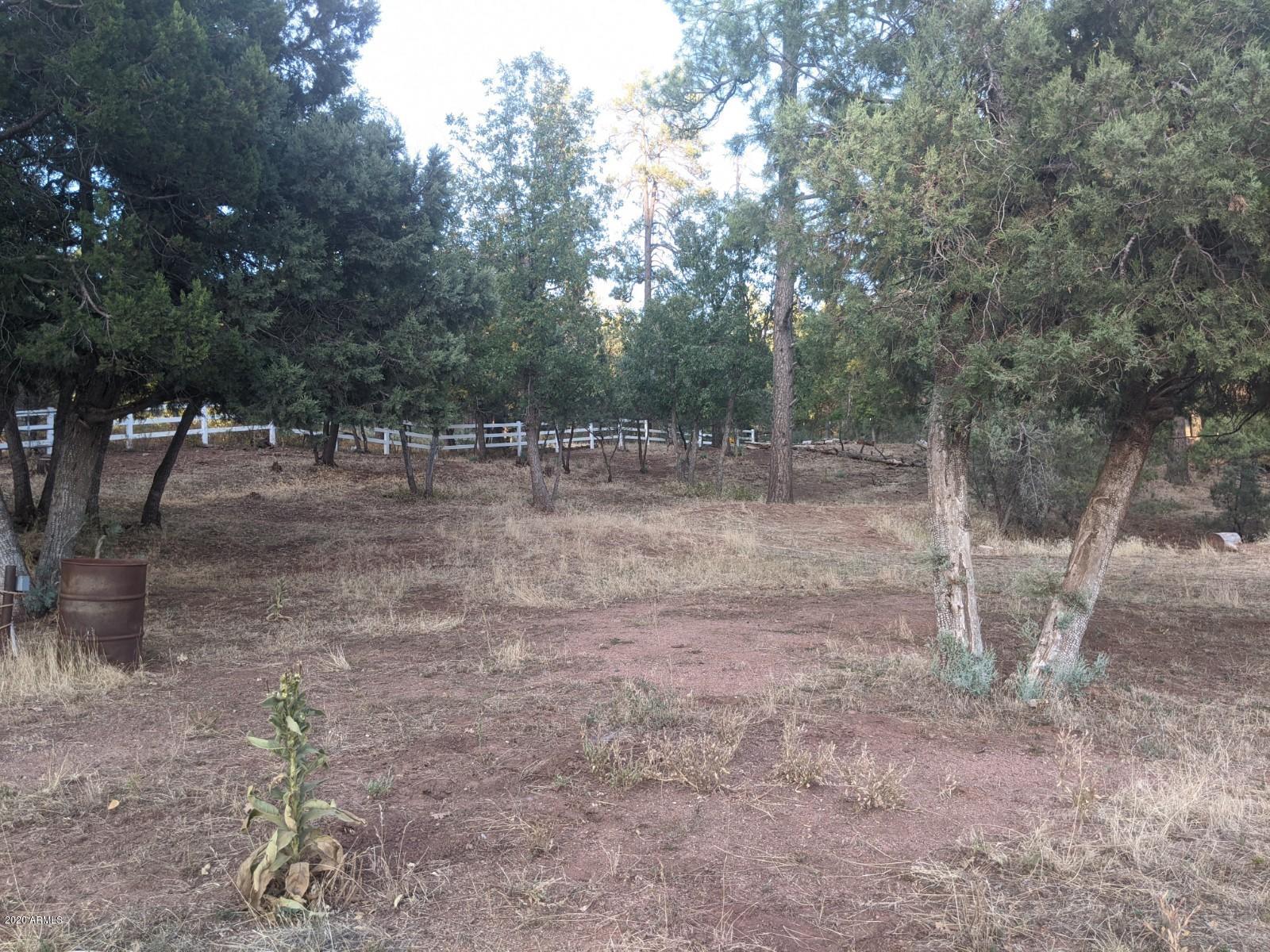 2025 East Colcord Road Payson, AZ 85541 - Photo 37 of 43 PXL_20201006_003040192