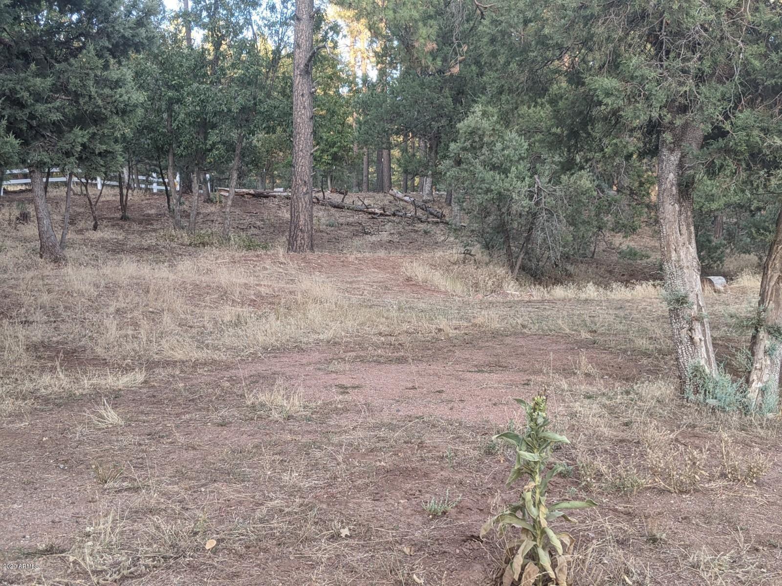 2025 East Colcord Road Payson, AZ 85541 - Photo 38 of 43 PXL_20201006_003113213