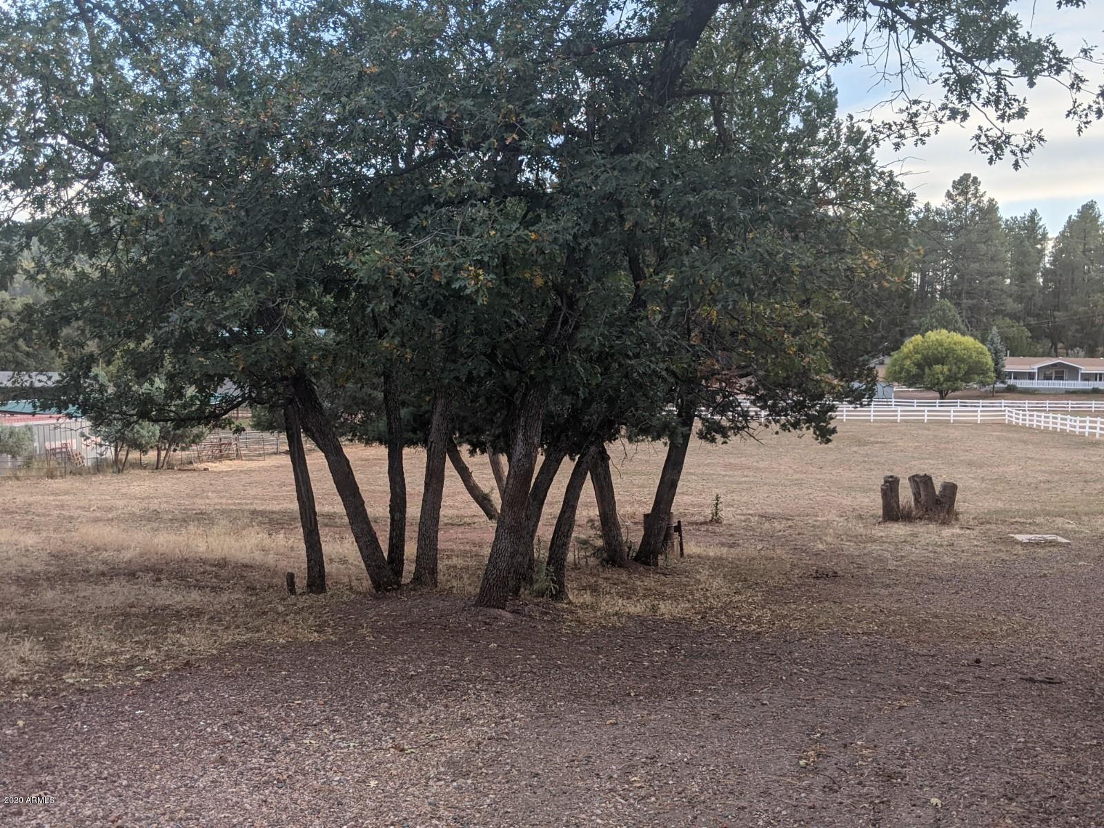 2025 East Colcord Road Payson, AZ 85541 - Photo 43 of 43 PXL_20201006_003549849