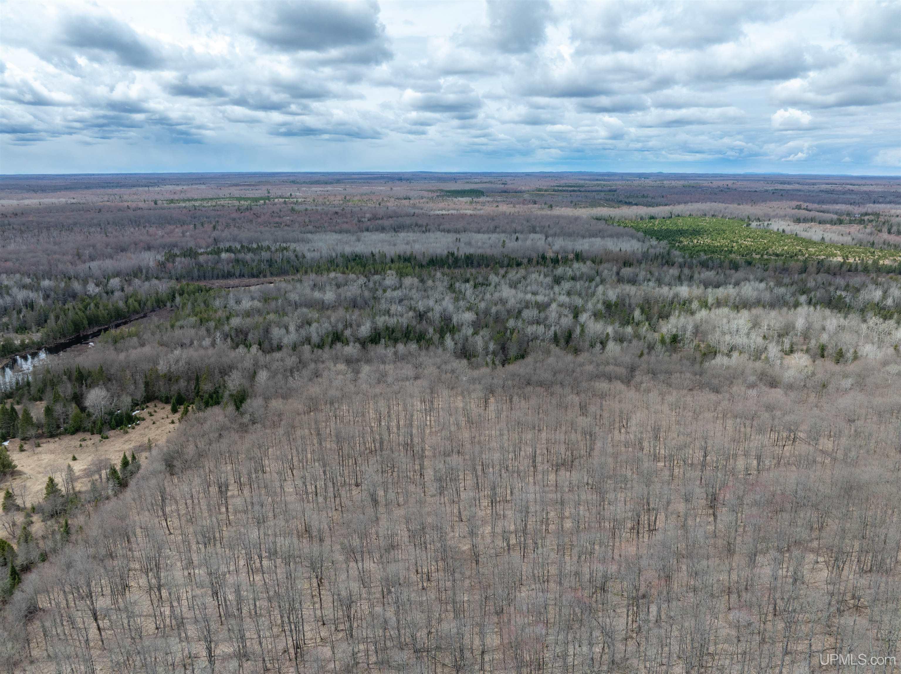 Tbd Coaster Road Trenary, MI 49891 - Photo 13 of 14
