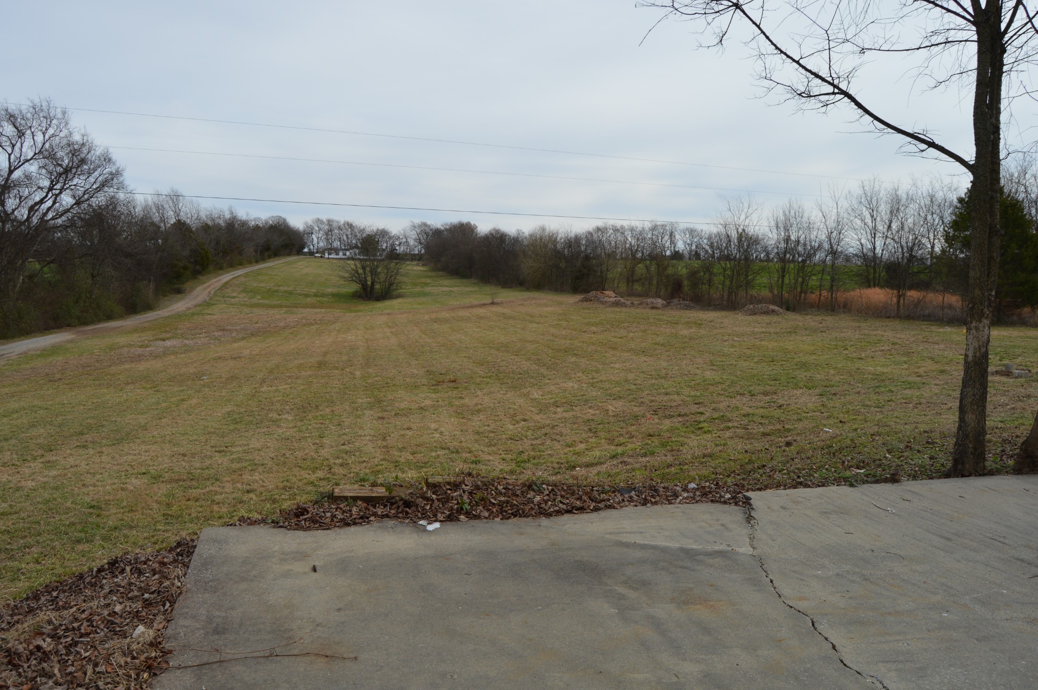 1228 Littleton Ranch Road Castalian Springs, TN 37031 - Photo 20 of 20 Gallery Image 20