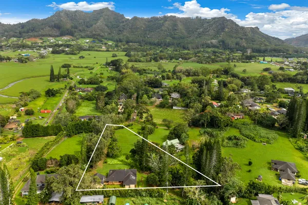 a view of a lush green forest with trees and houses