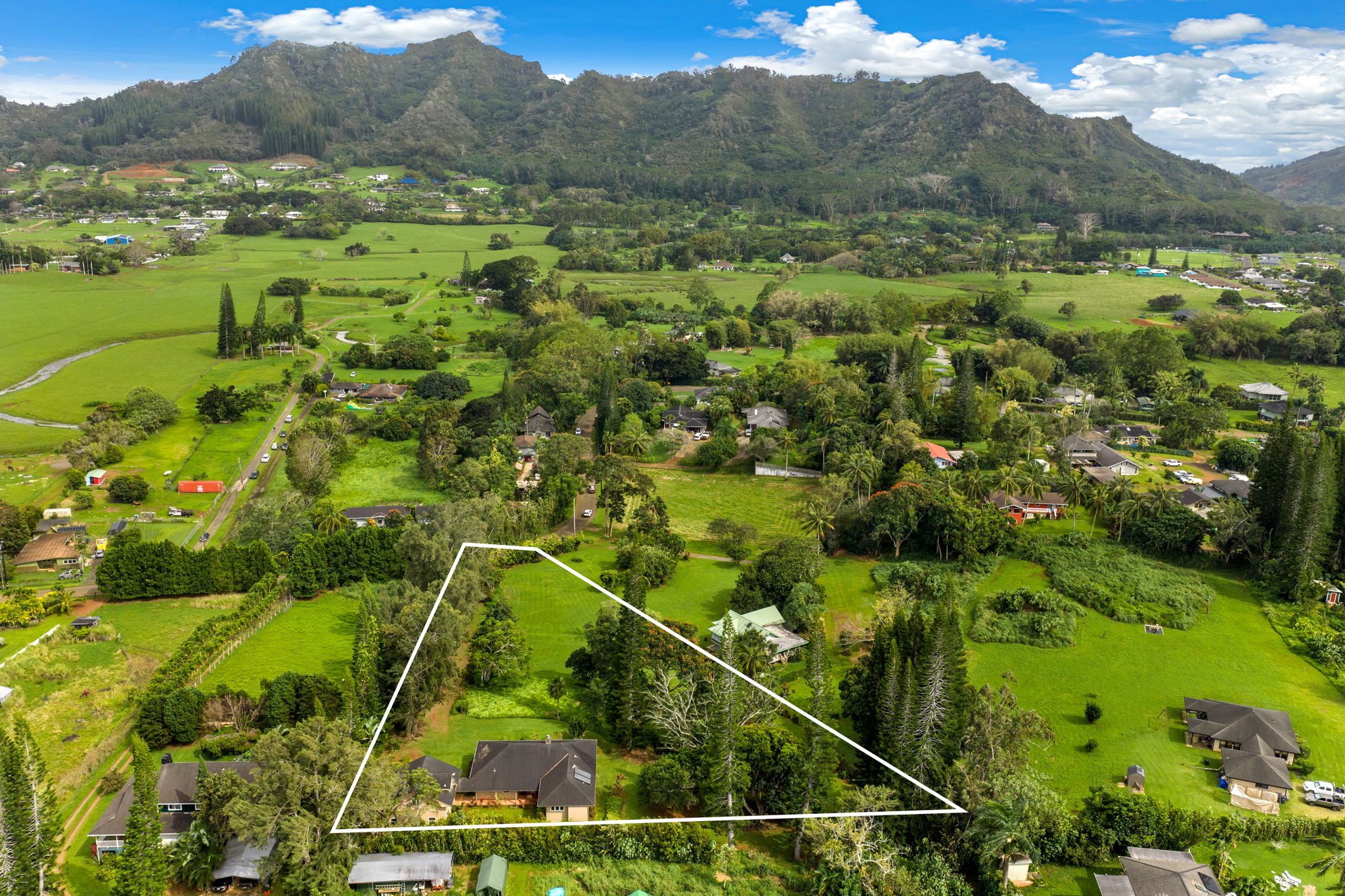 597 Puuopae Road Kapaa, HI 96746 - Photo 1 of 30 a view of a lush green forest with trees and houses