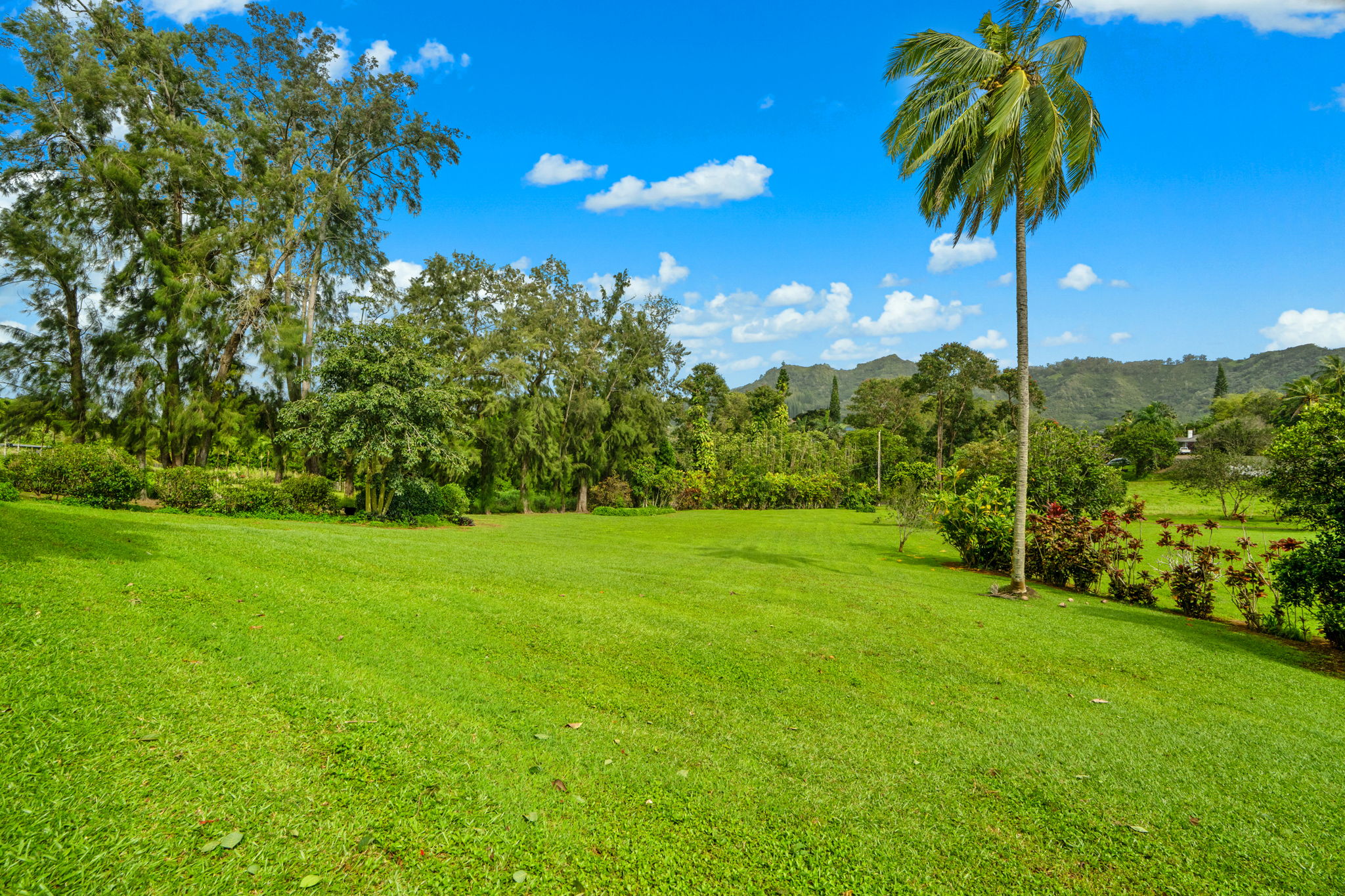 597 Puuopae Road Kapaa, HI 96746 - Photo 15 of 30 a view of a garden
