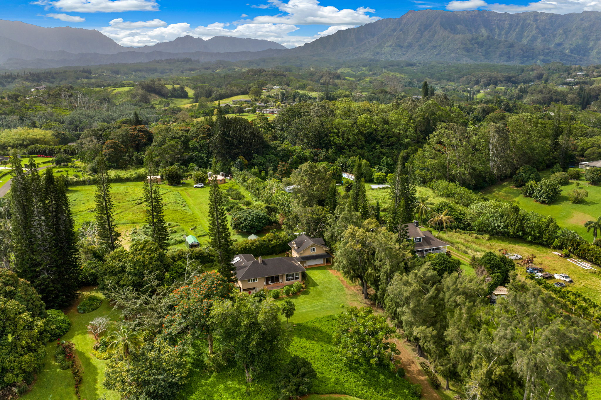 597 Puuopae Road Kapaa, HI 96746 - Photo 16 of 30 a view of outdoor space and mountain view