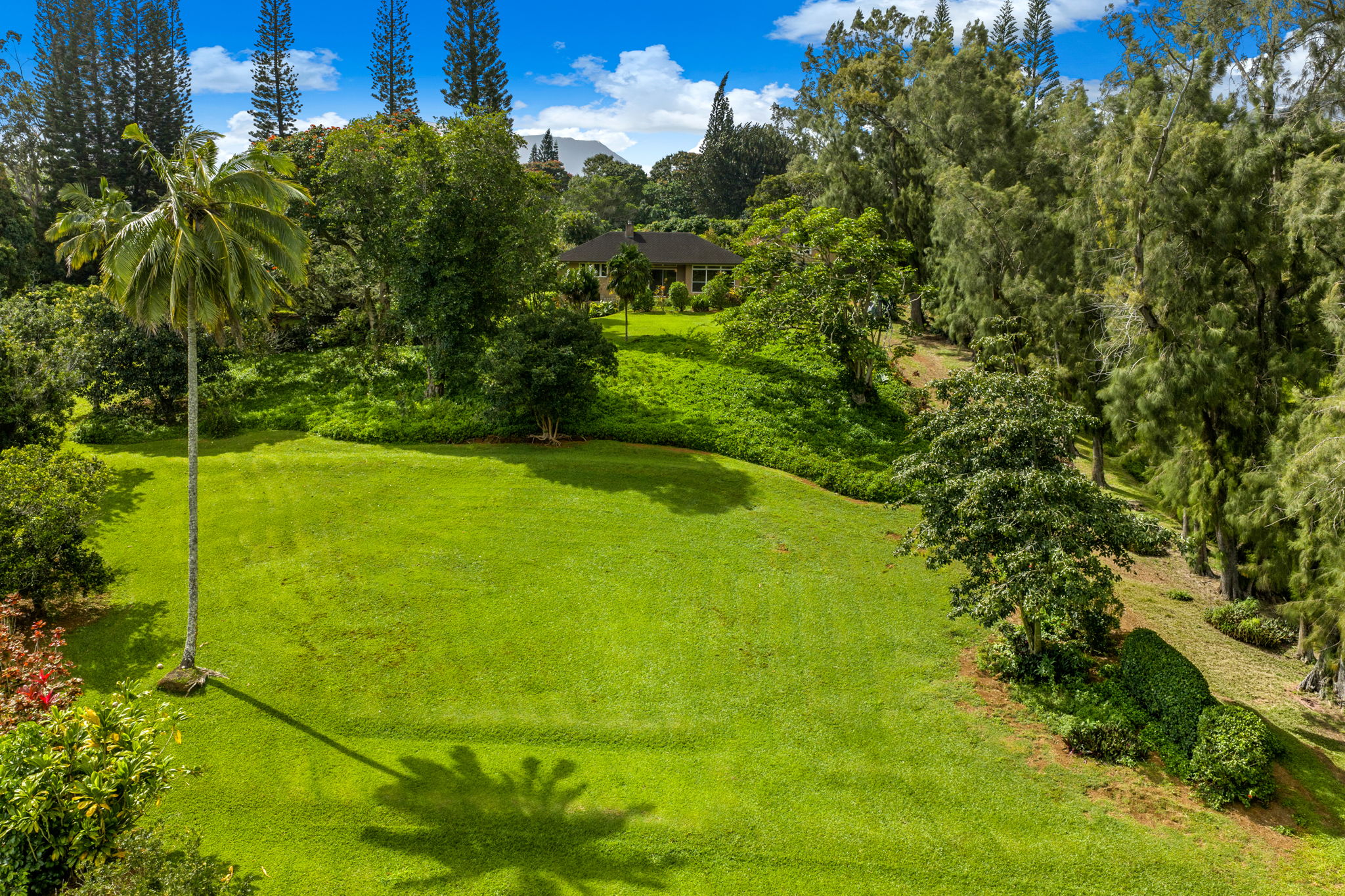 597 Puuopae Road Kapaa, HI 96746 - Photo 18 of 30 a view of an outdoor space