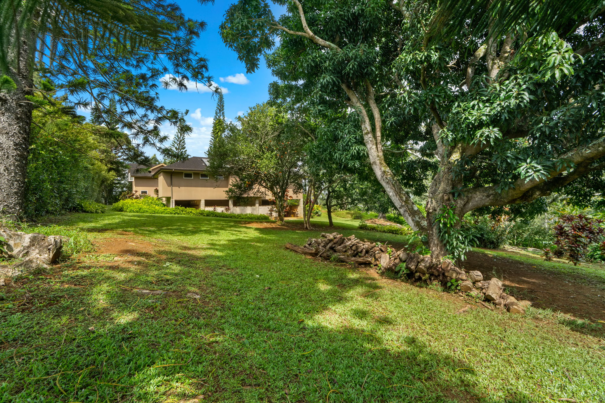 597 Puuopae Road Kapaa, HI 96746 - Photo 29 of 30 a view of a park with large trees