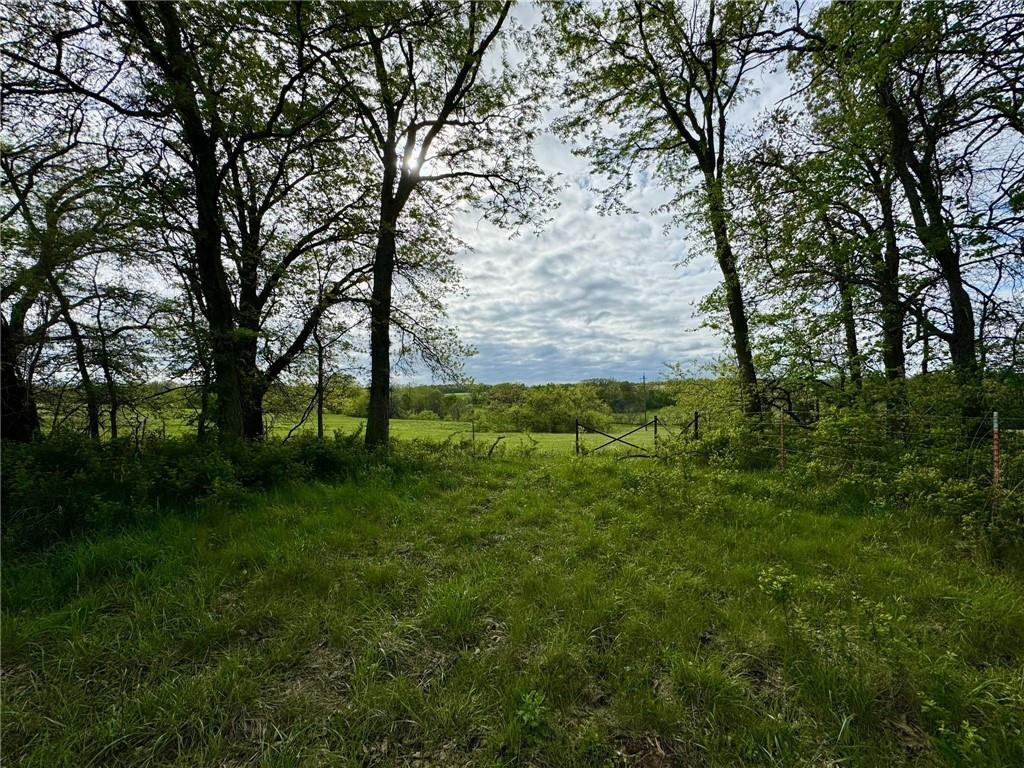 11519 Varner Road Odessa, MO 64076 - Photo 6 of 10