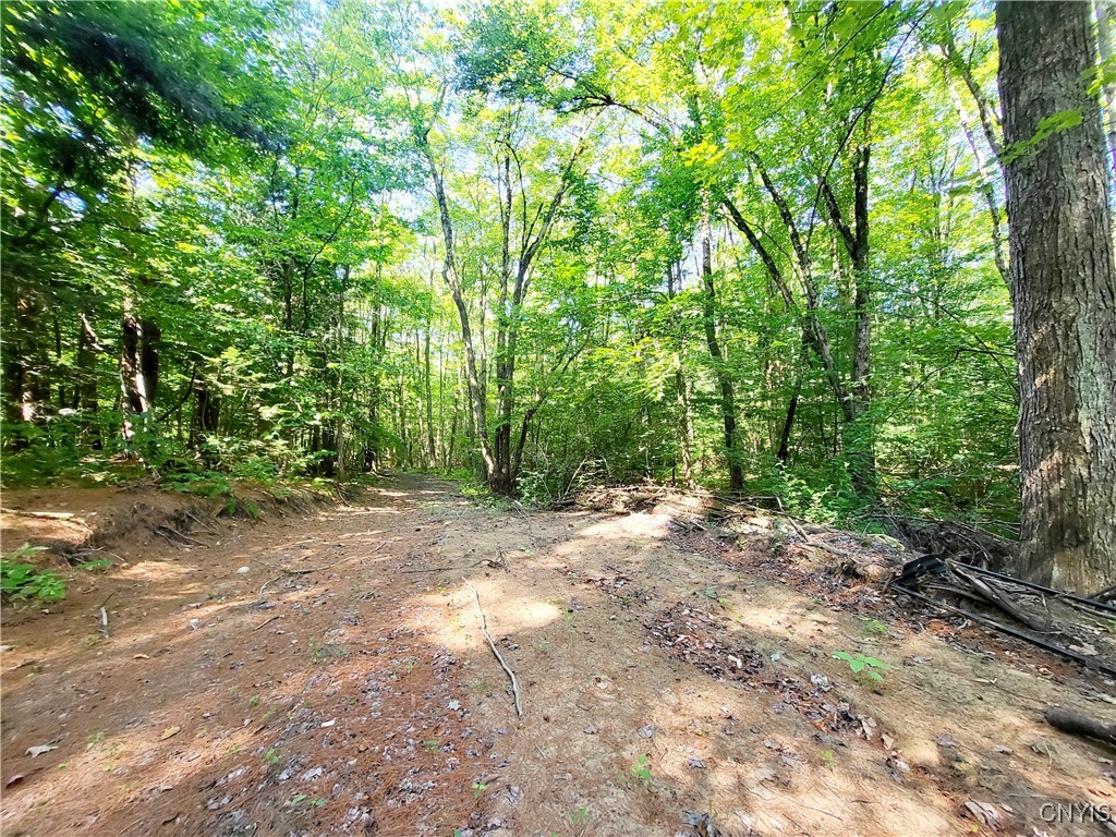 179 Albion Cross Road Parish, NY 13131 - Photo 37 of 47