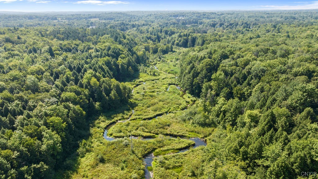 179 Albion Cross Road Parish, NY 13131 - Photo 4 of 47