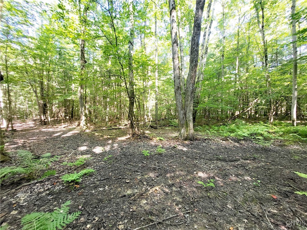 179 Albion Cross Road Parish, NY 13131 - Photo 41 of 47