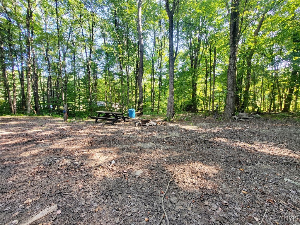 179 Albion Cross Road Parish, NY 13131 - Photo 42 of 47