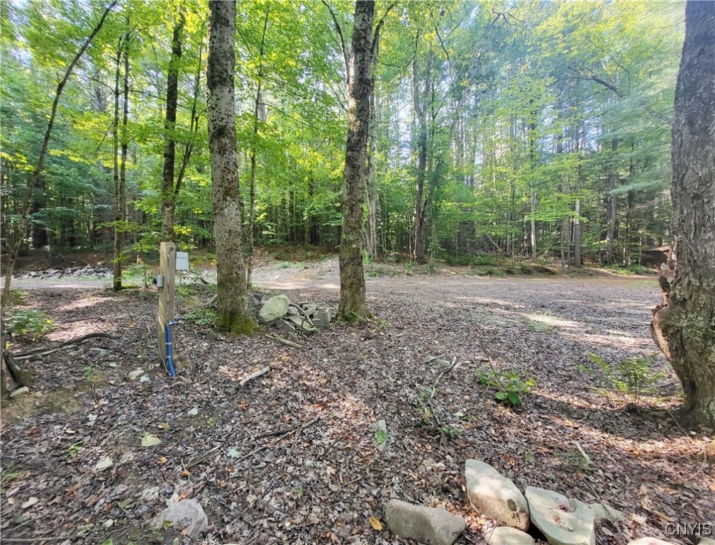 179 Albion Cross Road Parish, NY 13131 - Photo 45 of 47