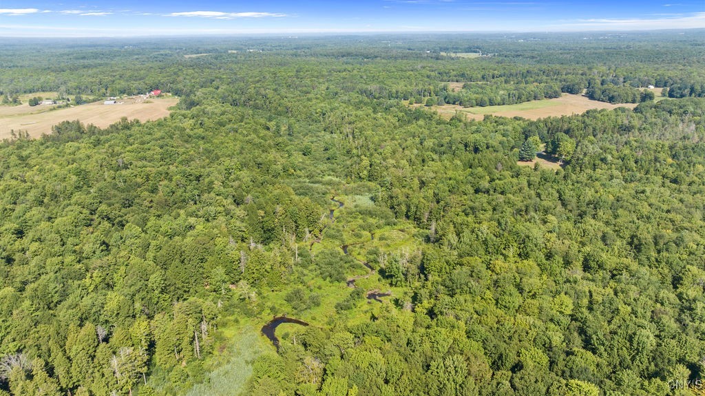 179 Albion Cross Road Parish, NY 13131 - Photo 46 of 47