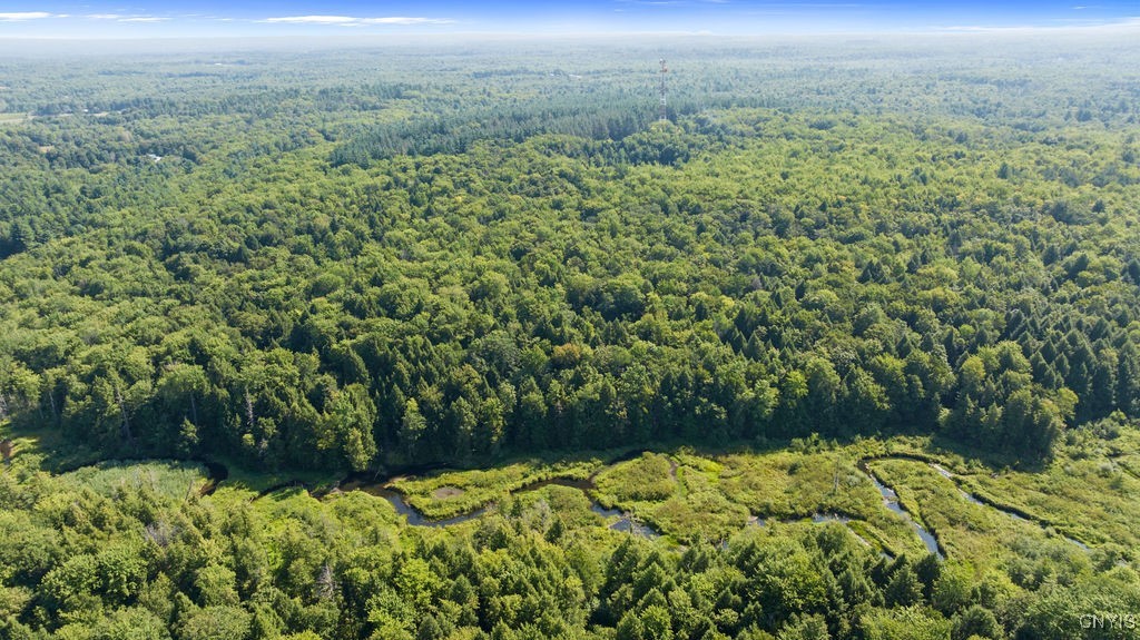 179 Albion Cross Road Parish, NY 13131 - Photo 47 of 47