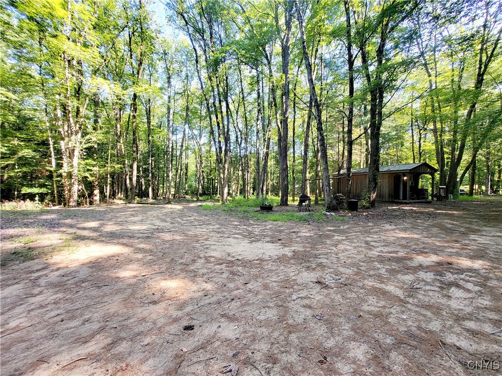 179 Albion Cross Road Parish, NY 13131 - Photo 8 of 47