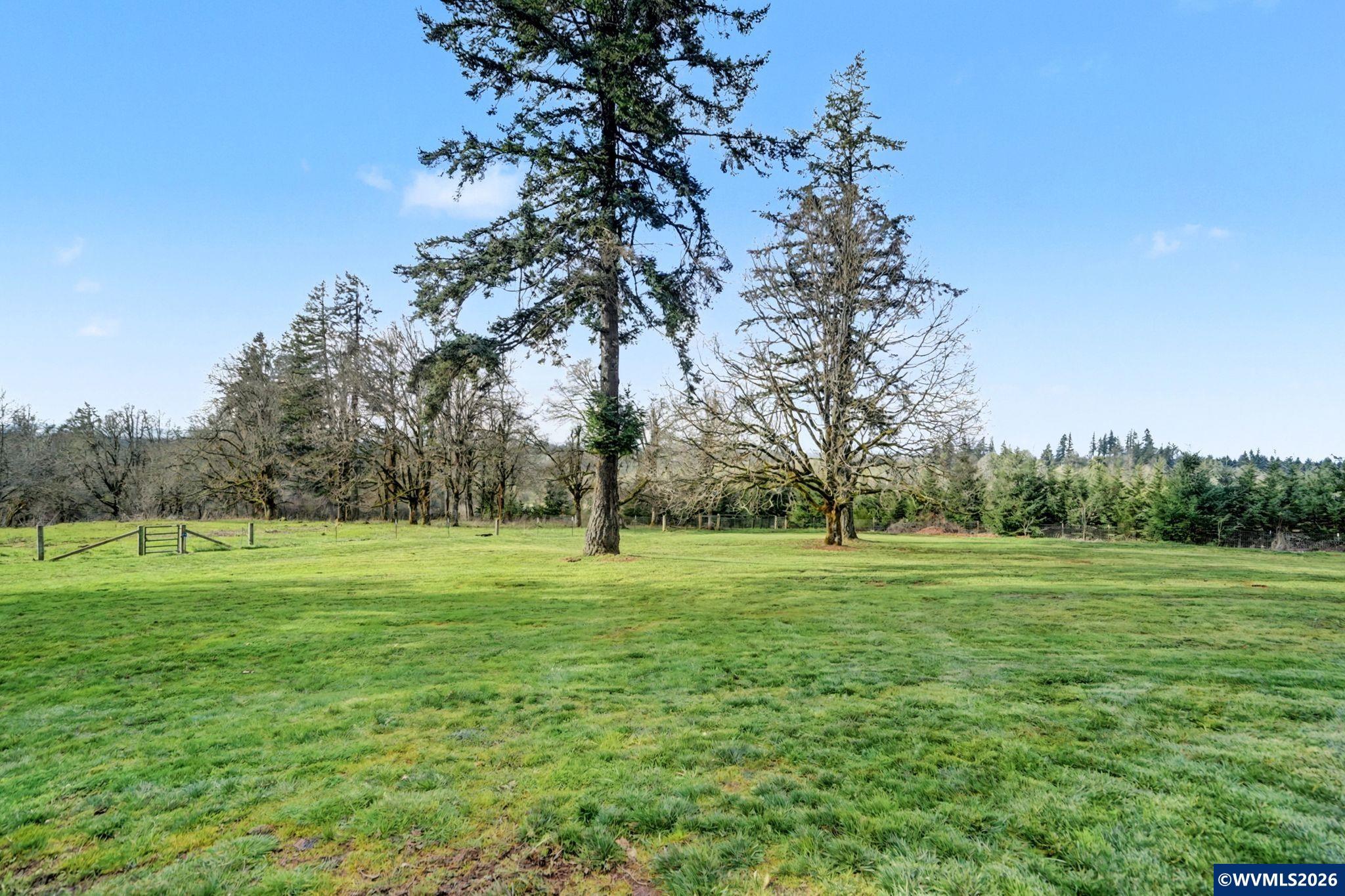 40040 Cole School Road Scio, OR 97374 - Photo 43 of 50
